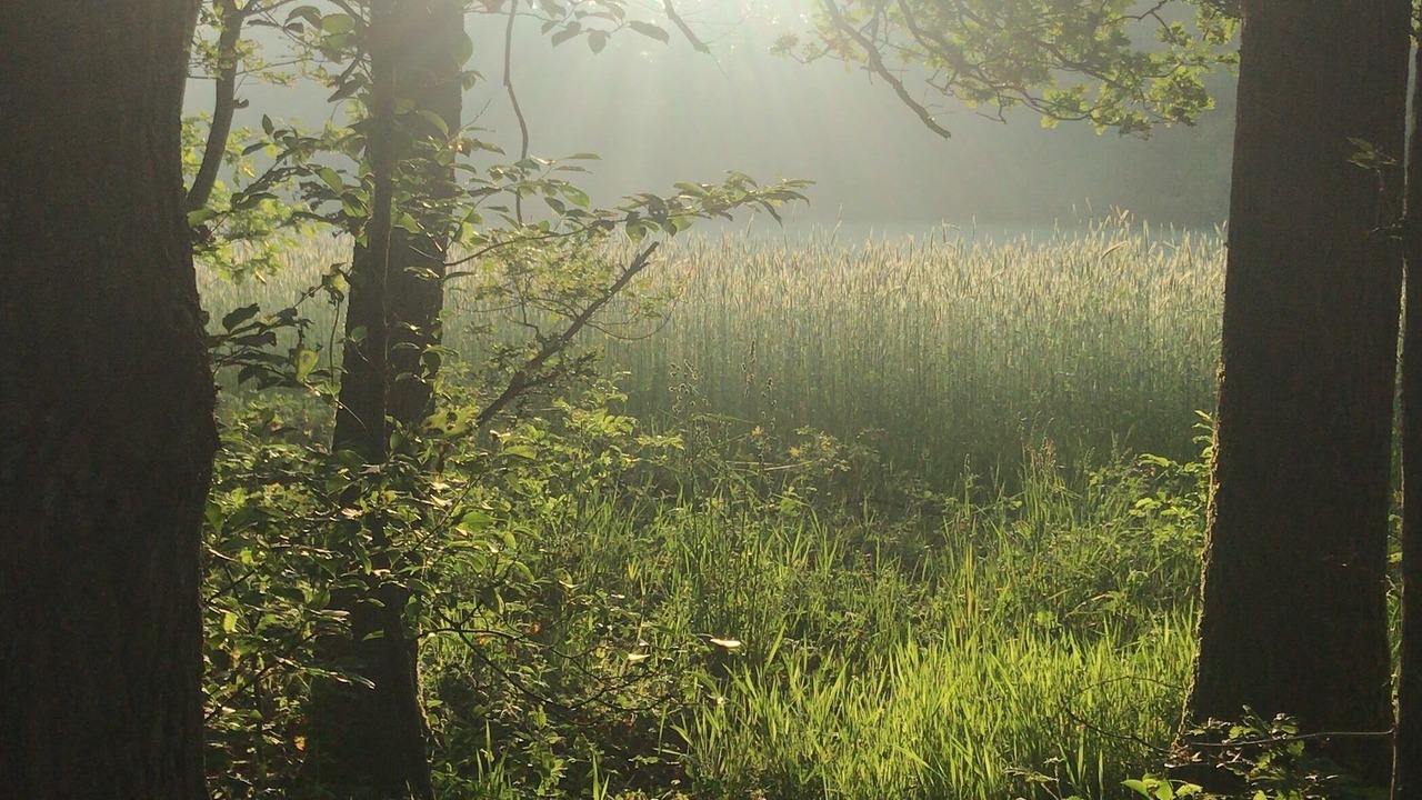 Photo of Outdoor in IJhorst