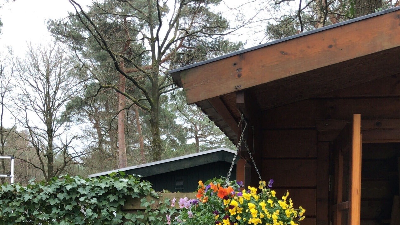 Photo of Outdoor in IJhorst