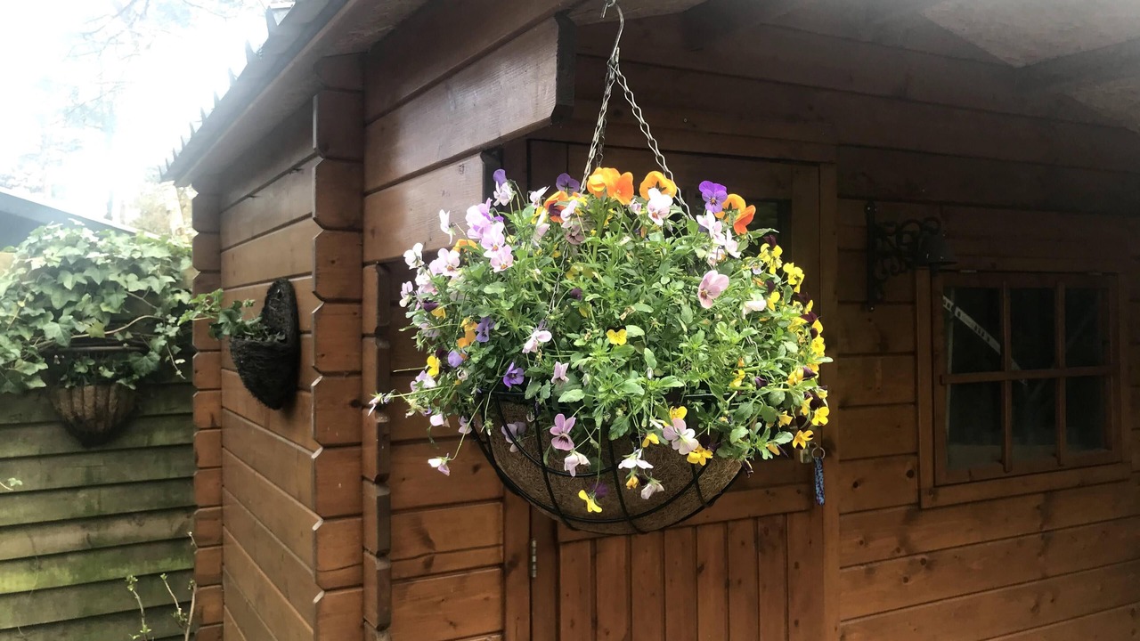 Photo of Outdoor in IJhorst