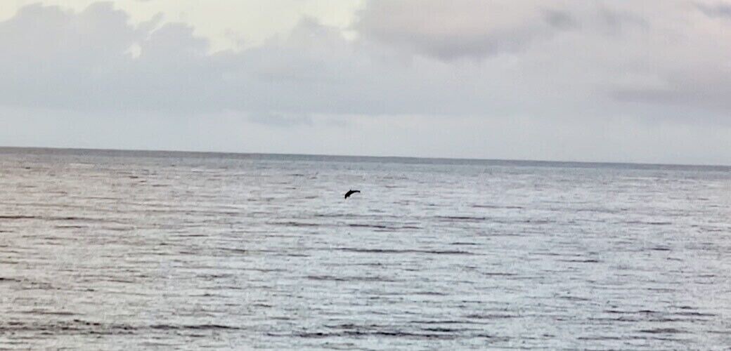 Photo of Others in Rio Grande