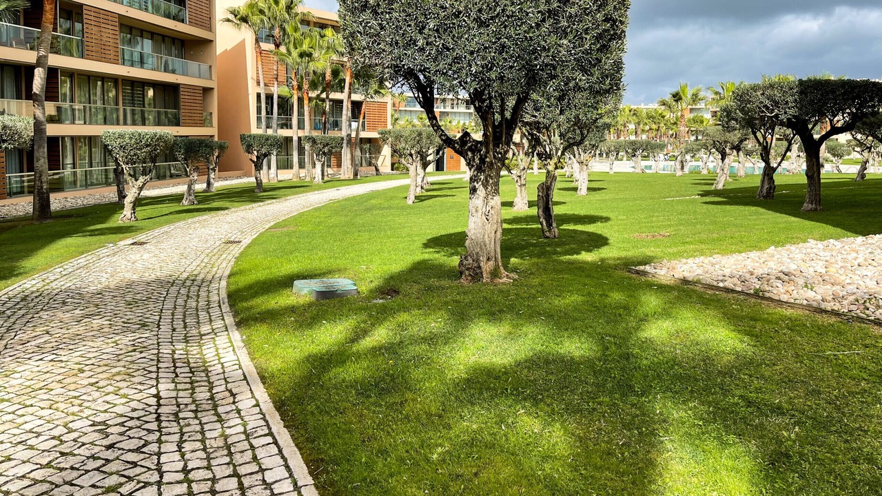 Photo of Outdoor in Salgados
