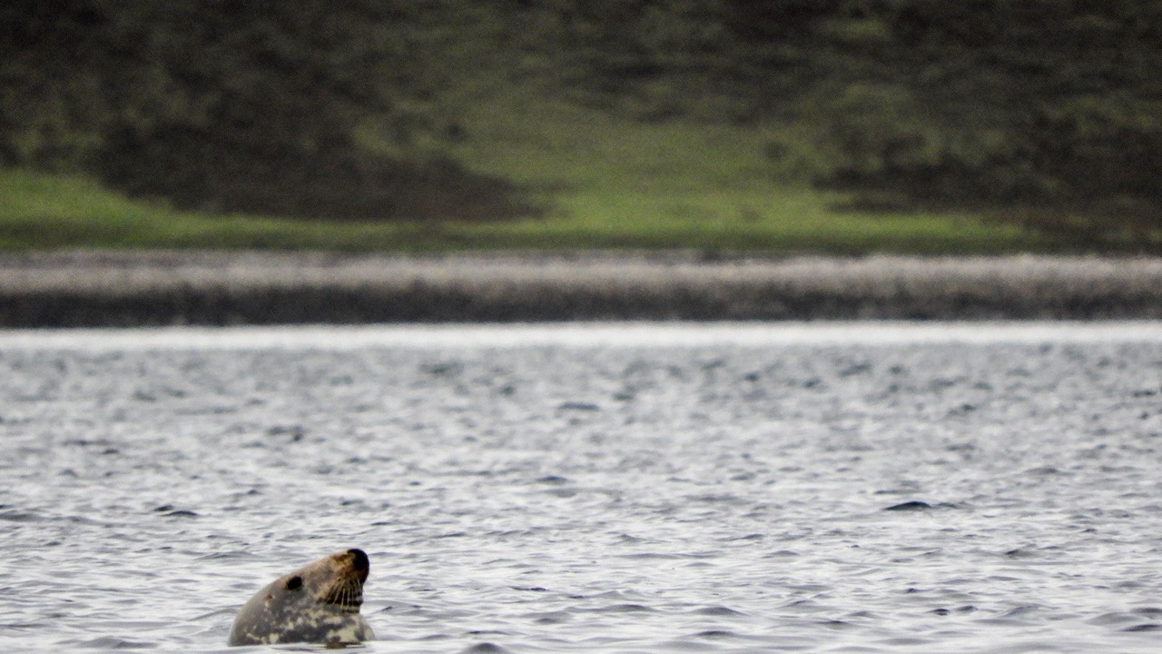 Photo of Others in Sleat