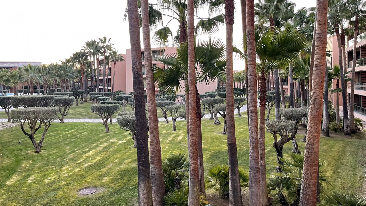 Photo of Outdoor in Salgados