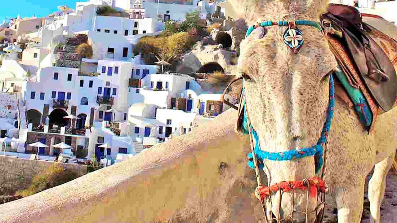 Photo of Others in Paros