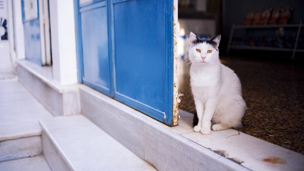 Photo of Others in Paros