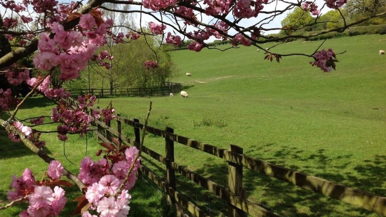Photo of Others in Benenden