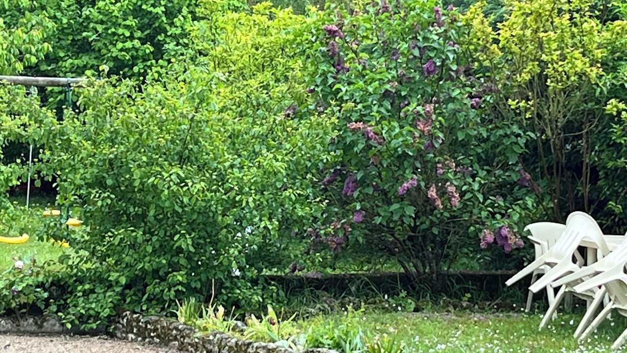 Photo of Outdoor in Avaray