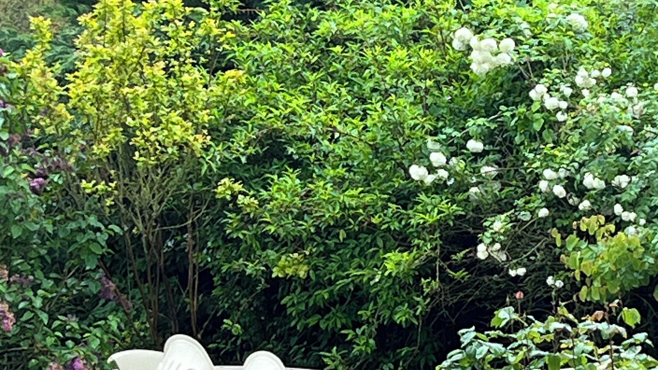 Photo of Outdoor in Avaray