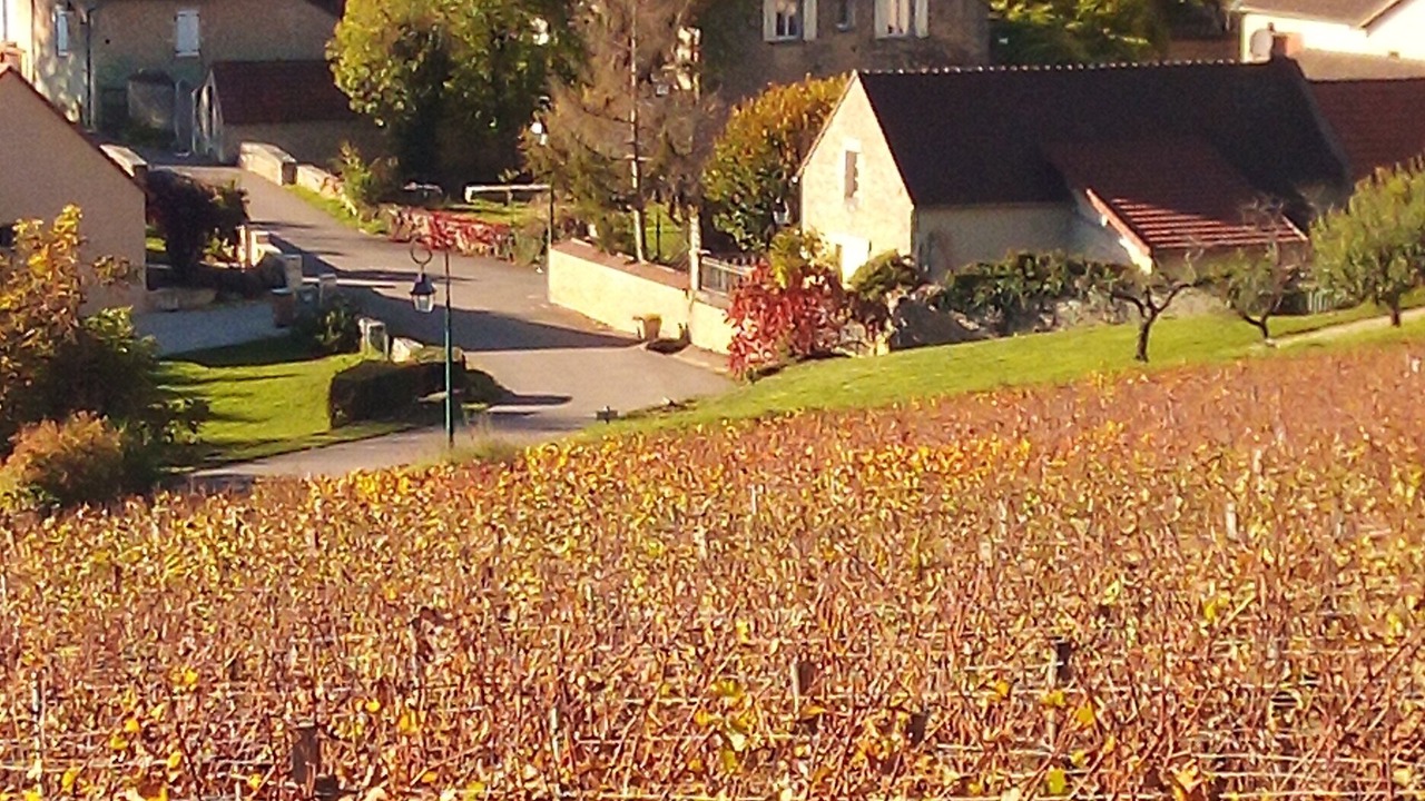 Photo of Outdoor in Nantoux