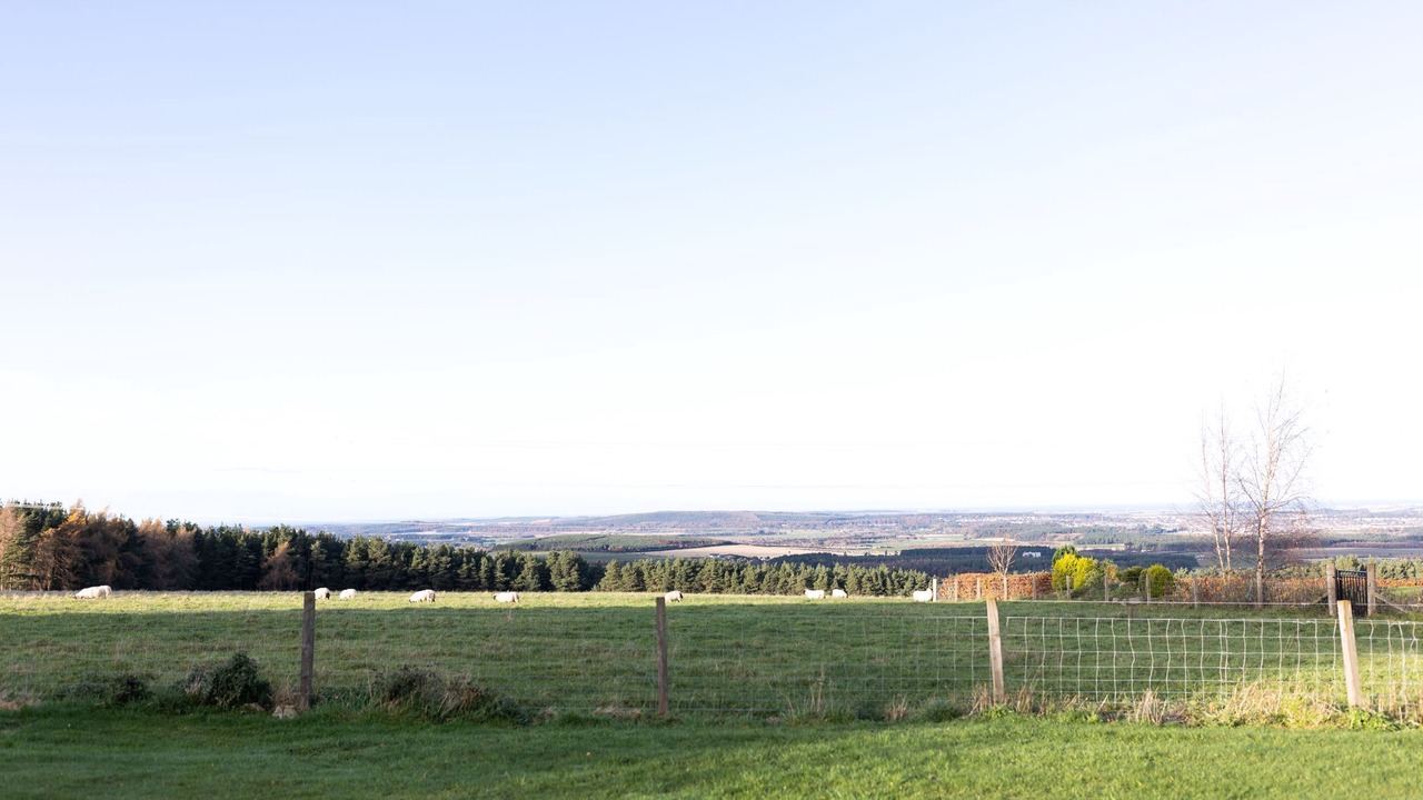 Photo of Outdoor in Elgin