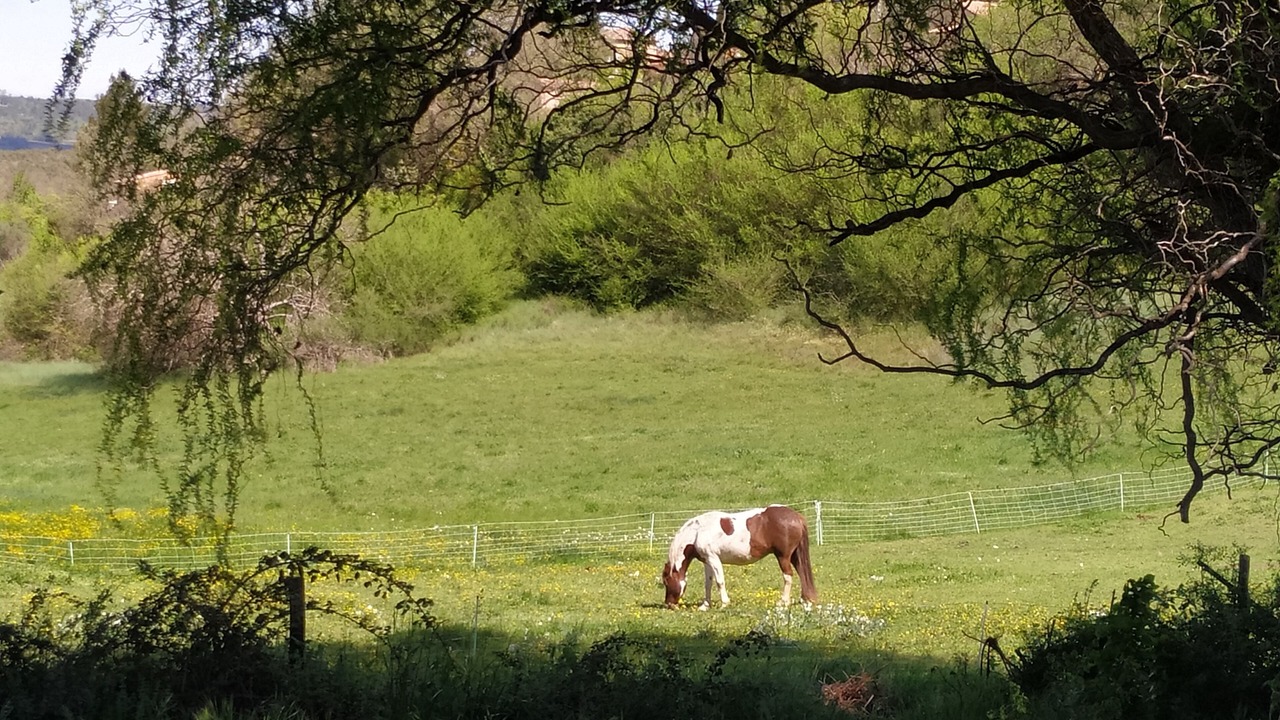 Photo of Others in Baudinard-sur-Verdon