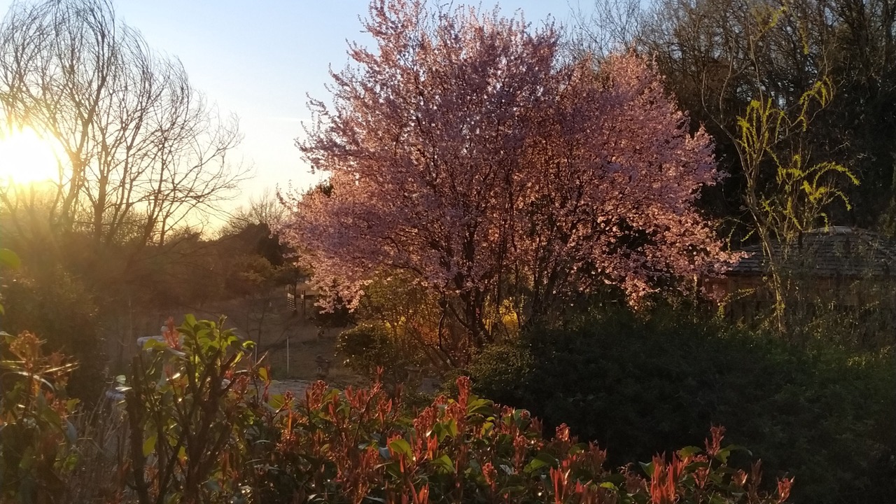 Photo of Outdoor in Baudinard-sur-Verdon