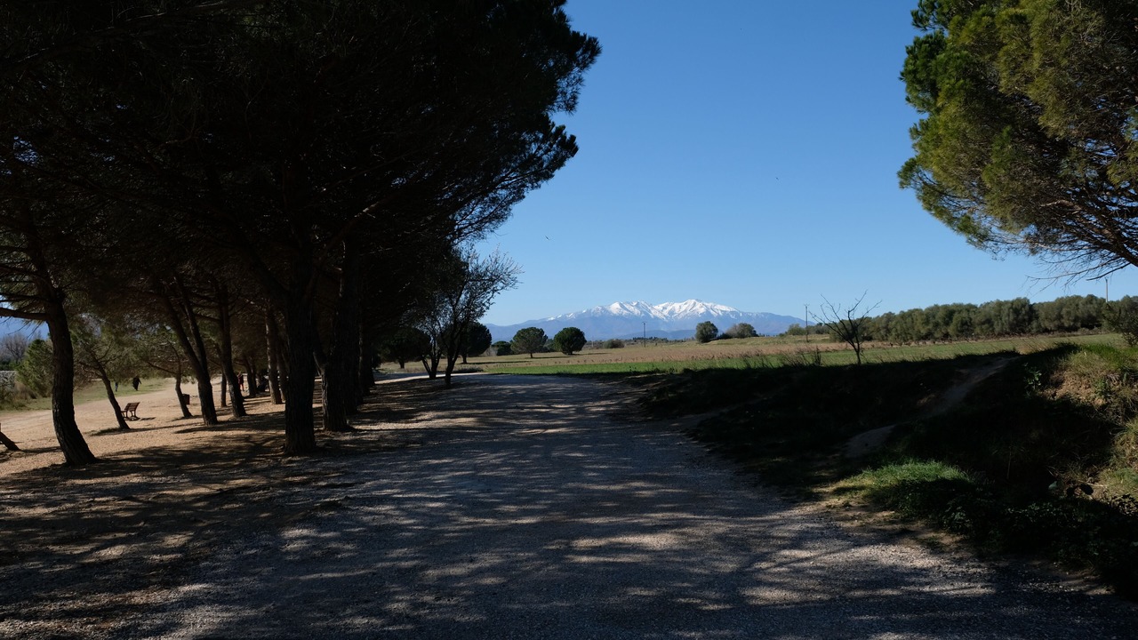 Photo of Outdoor in Perpignan