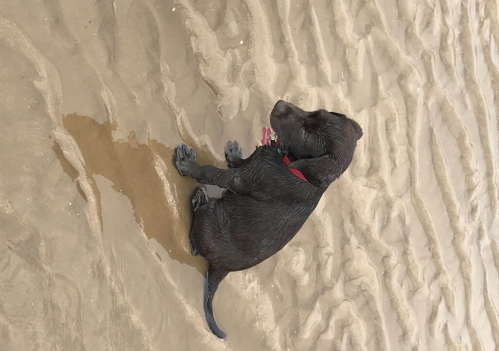 Photo of Others in Mablethorpe