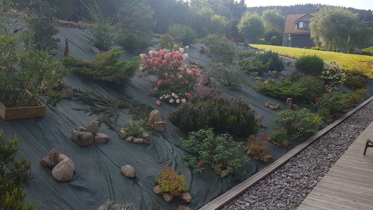 Photo of Outdoor in Gerardmer