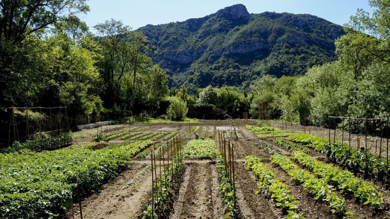 Photo of Outdoor in Madieres
