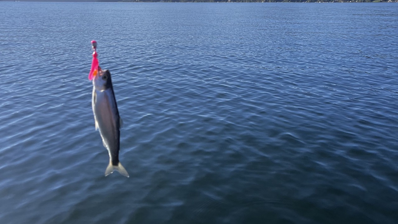Photo of Outdoor in Bellingham
