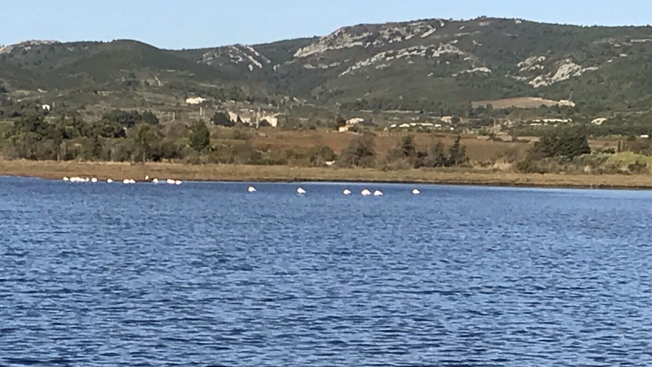 Photo of Others in Bages