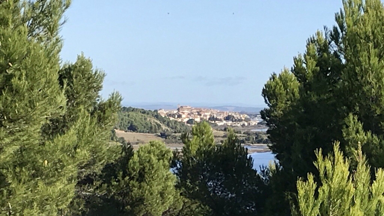 Photo of Others in Bages