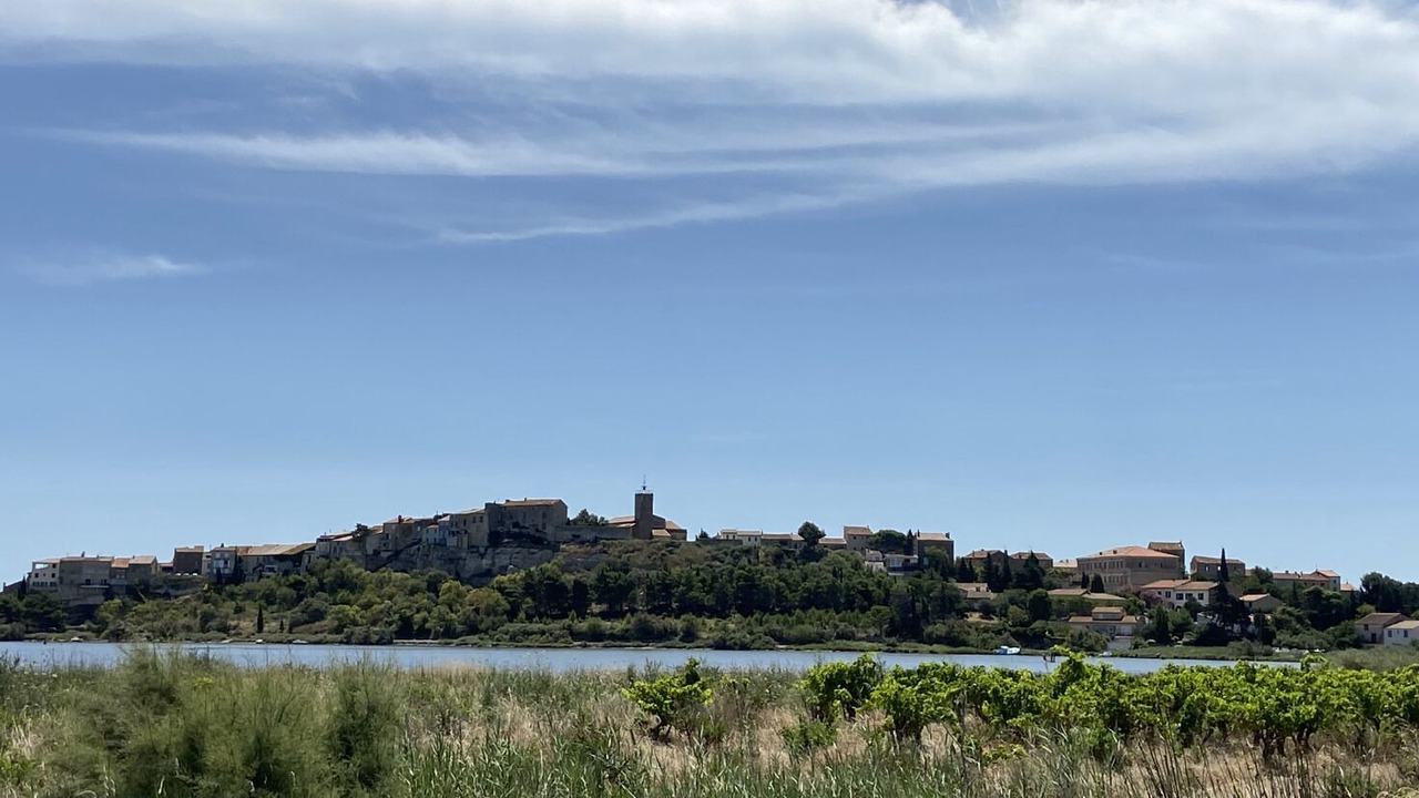 Photo of Others in Bages
