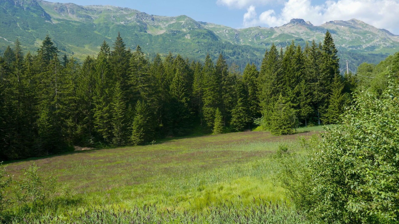 Photo of Outdoor in Olivone