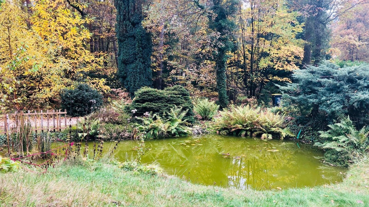Photo of Outdoor in Noisy-sur-Ecole