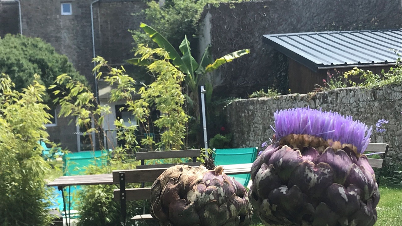 Photo of Outdoor in Plouescat