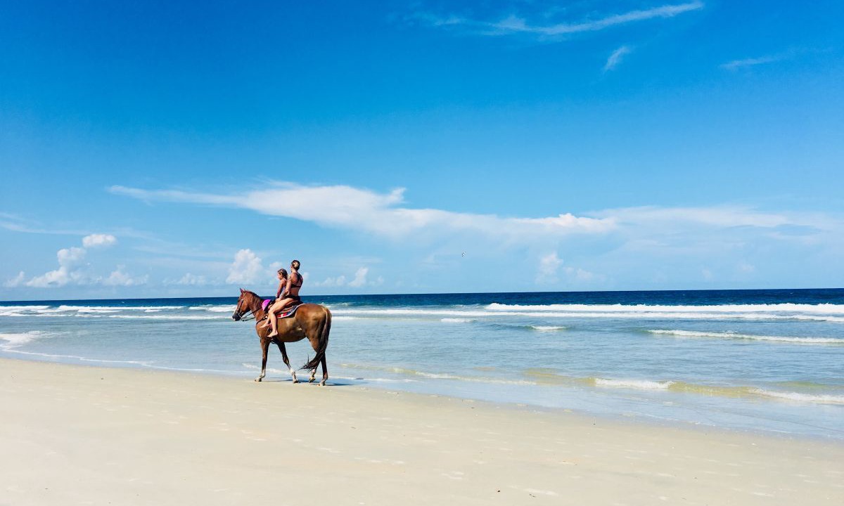 Photo of Others in Palm Coast