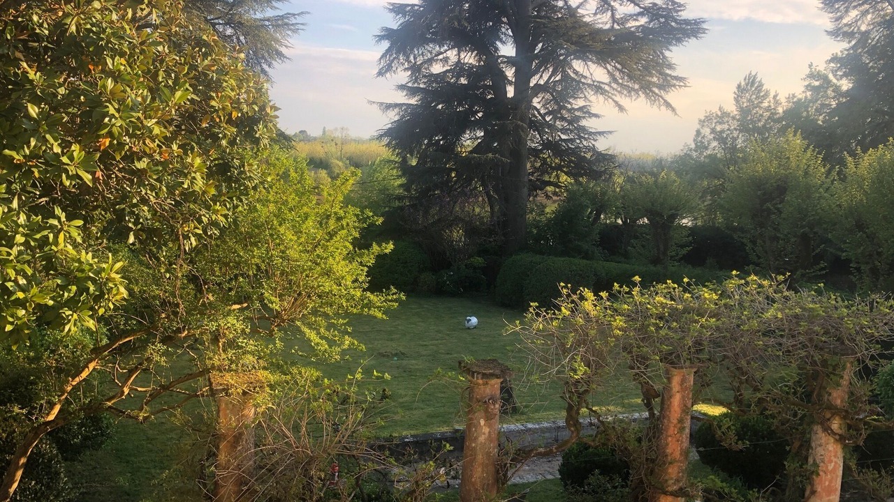 Photo of Outdoor in Saint-Pardon-de-Conques