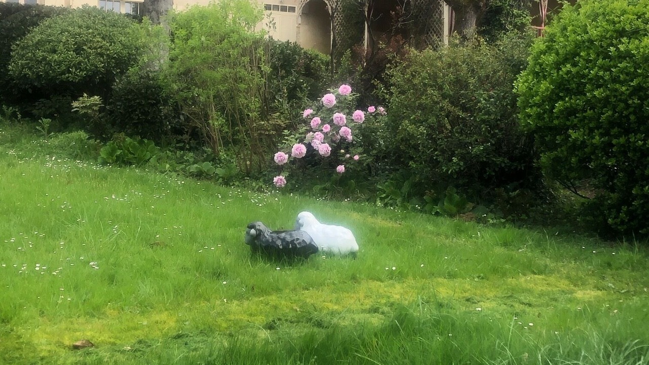 Photo of Outdoor in Saint-Pardon-de-Conques