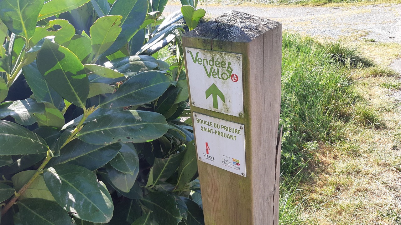Photo of Outdoor in Saint-Prouant