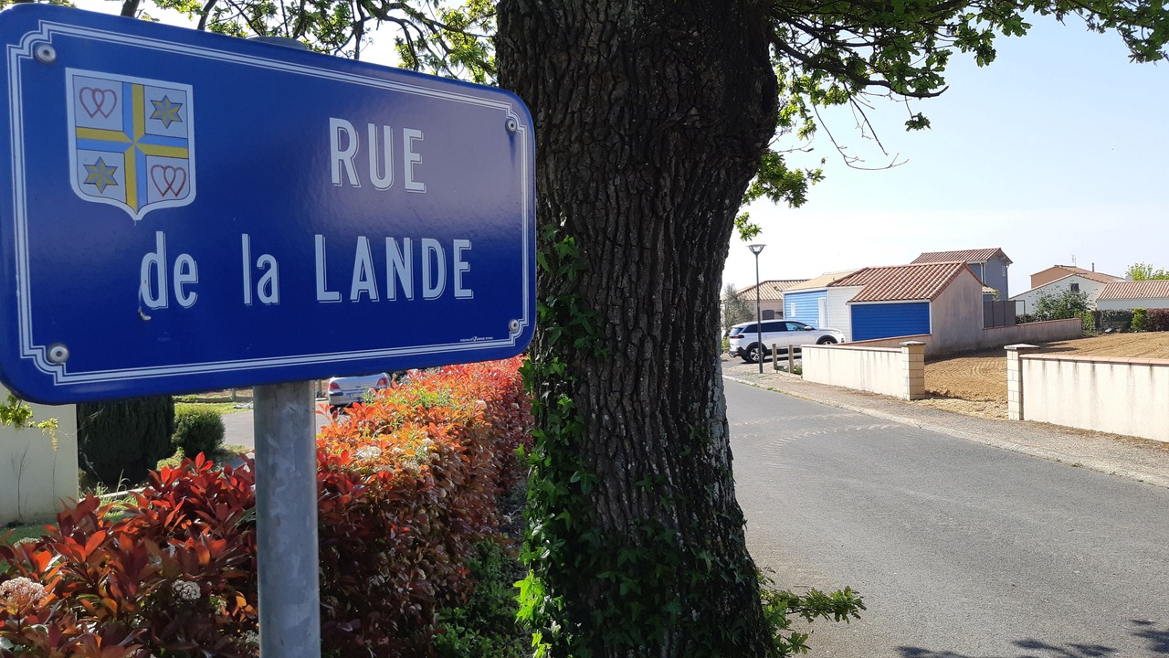 Photo of Outdoor in Saint-Prouant