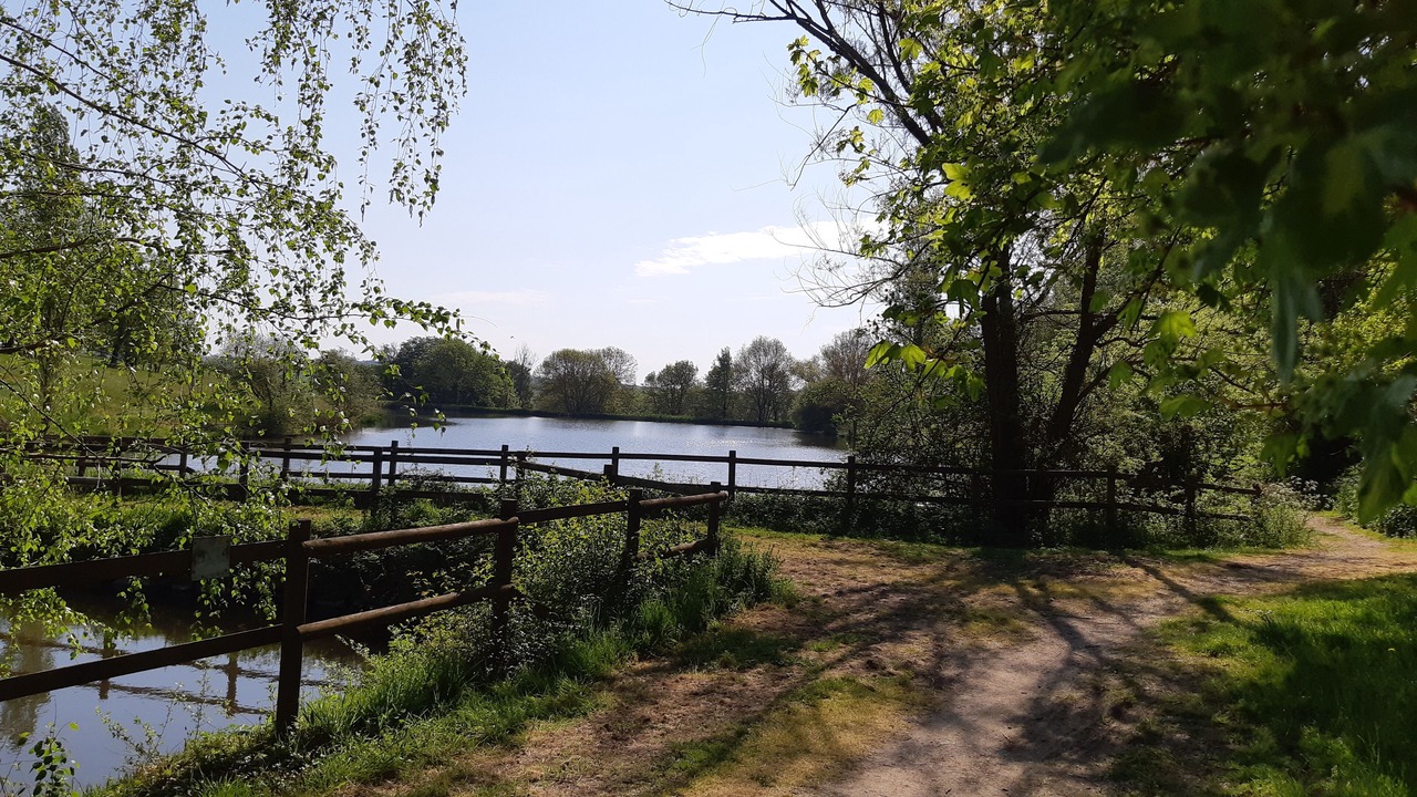 Photo of Outdoor in Saint-Prouant