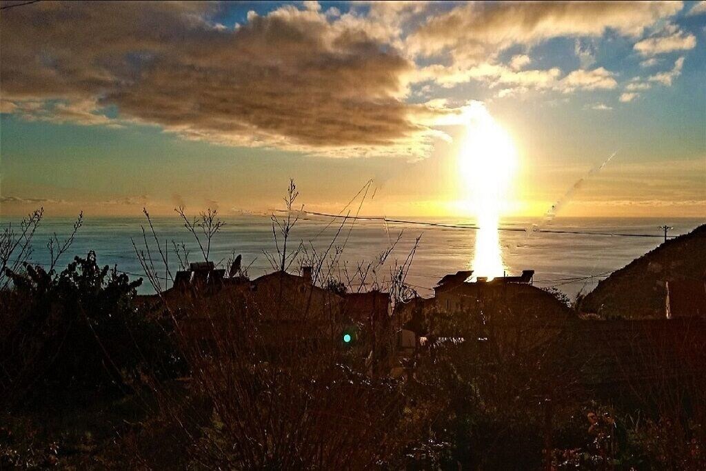Photo of Others in Arco da Calheta