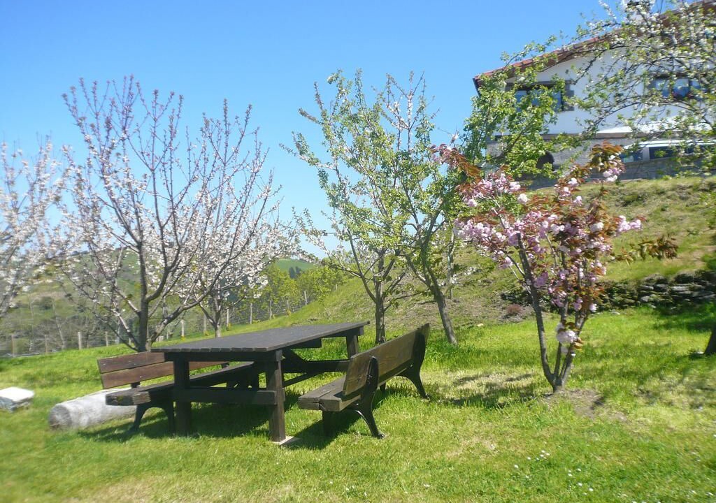 Photo of Outdoor in Deba