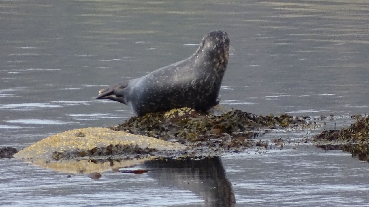 Photo of Others in Lochgilphead
