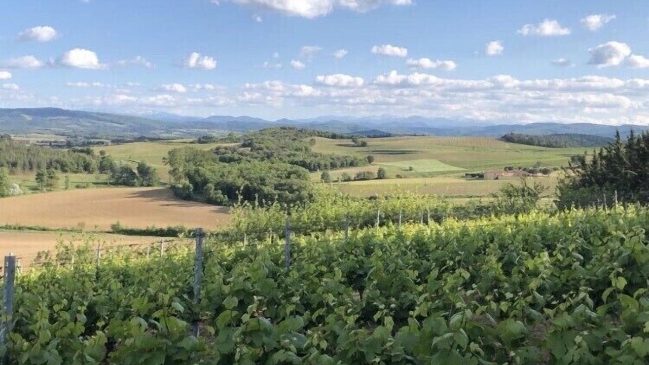 Photo of Outdoor in Lauraguel