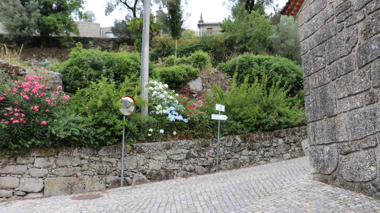Photo of Others in Guilhofrei