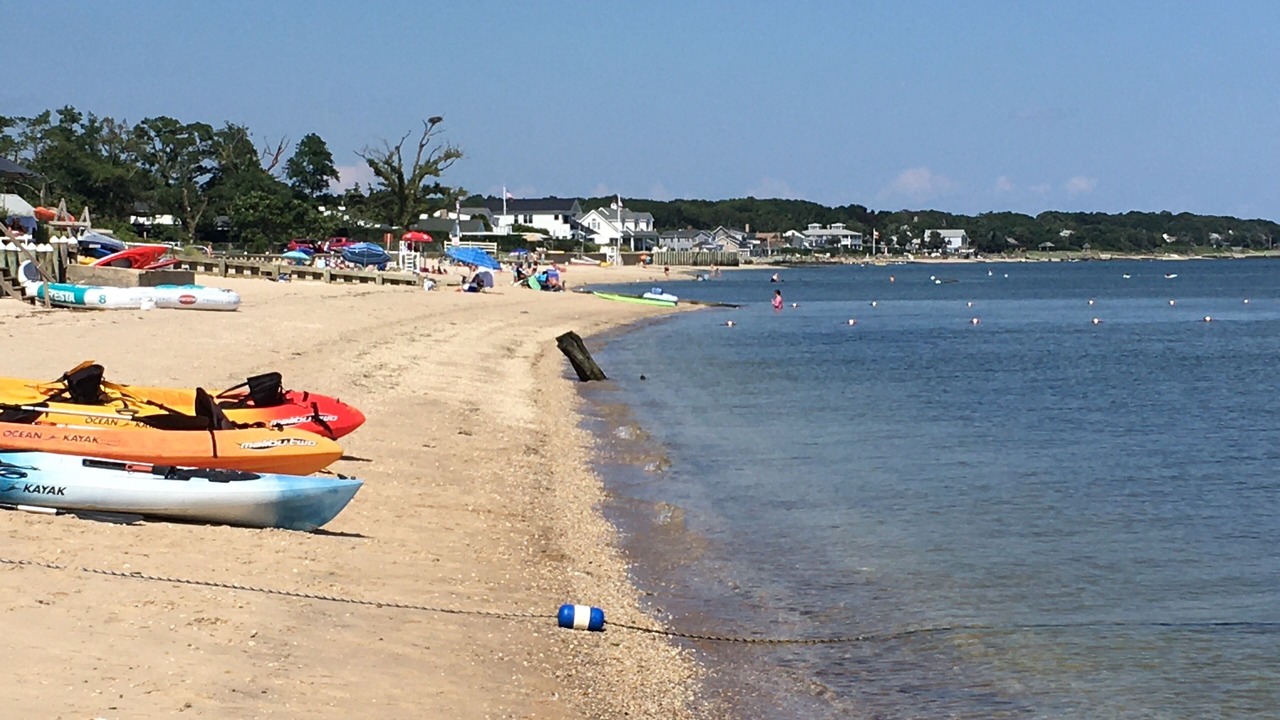 Photo of Others in Mattituck
