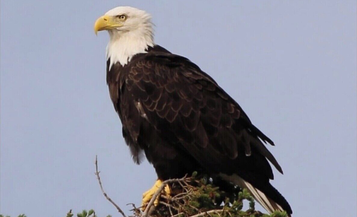 Photo of Others in Trenton