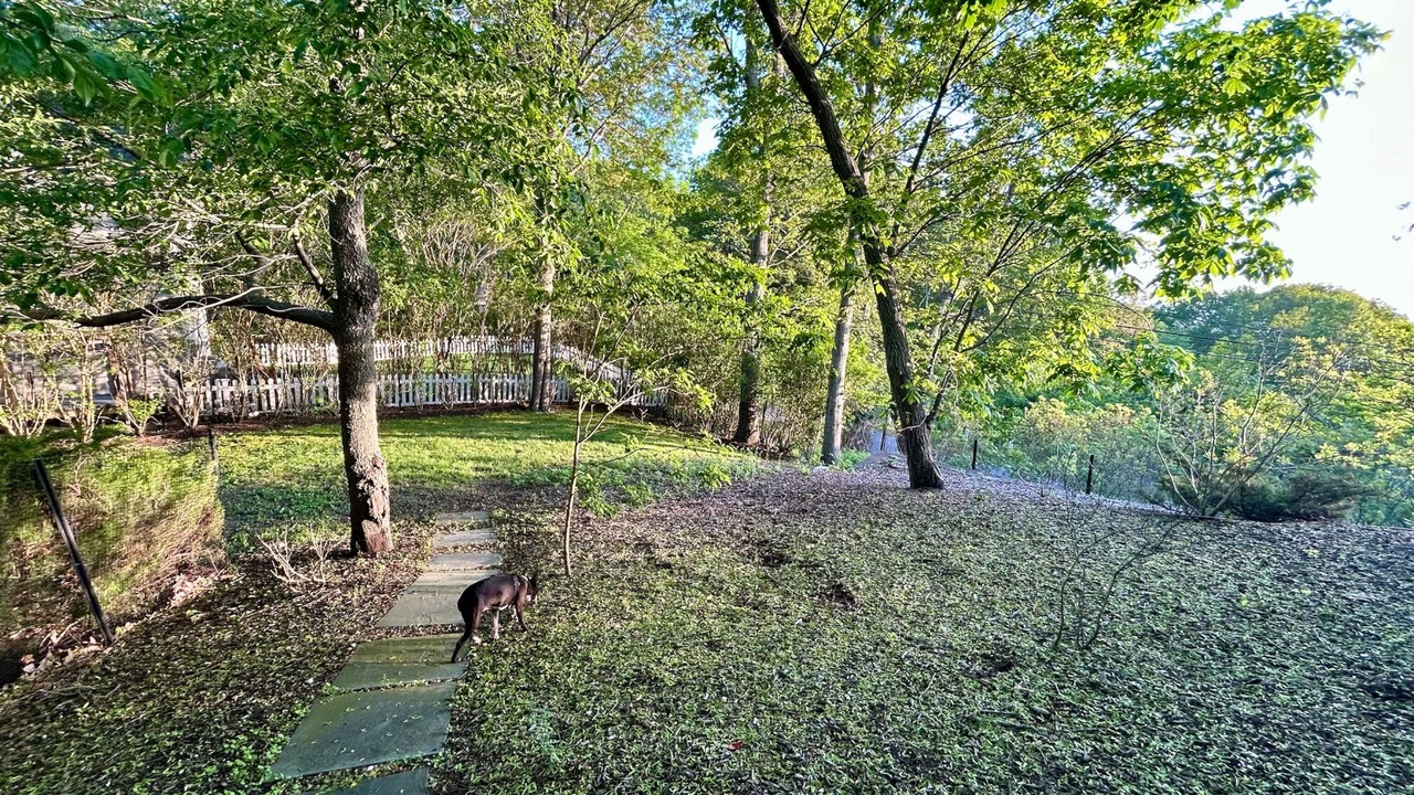 Photo of Outdoor in The Heights