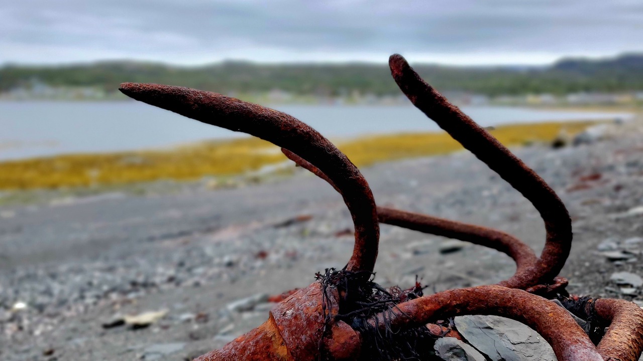 Photo of Others in Rocky Harbour