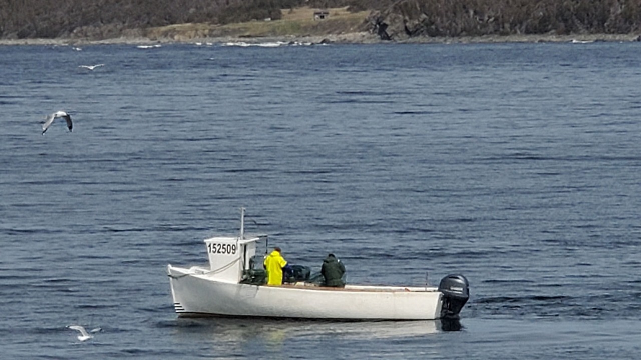 Photo of Others in Rocky Harbour