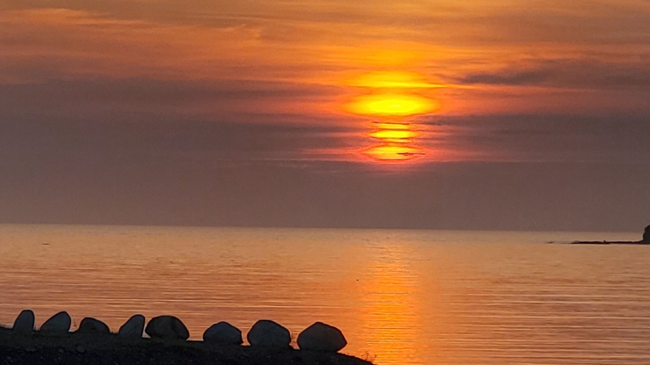 Photo of Others in Rocky Harbour