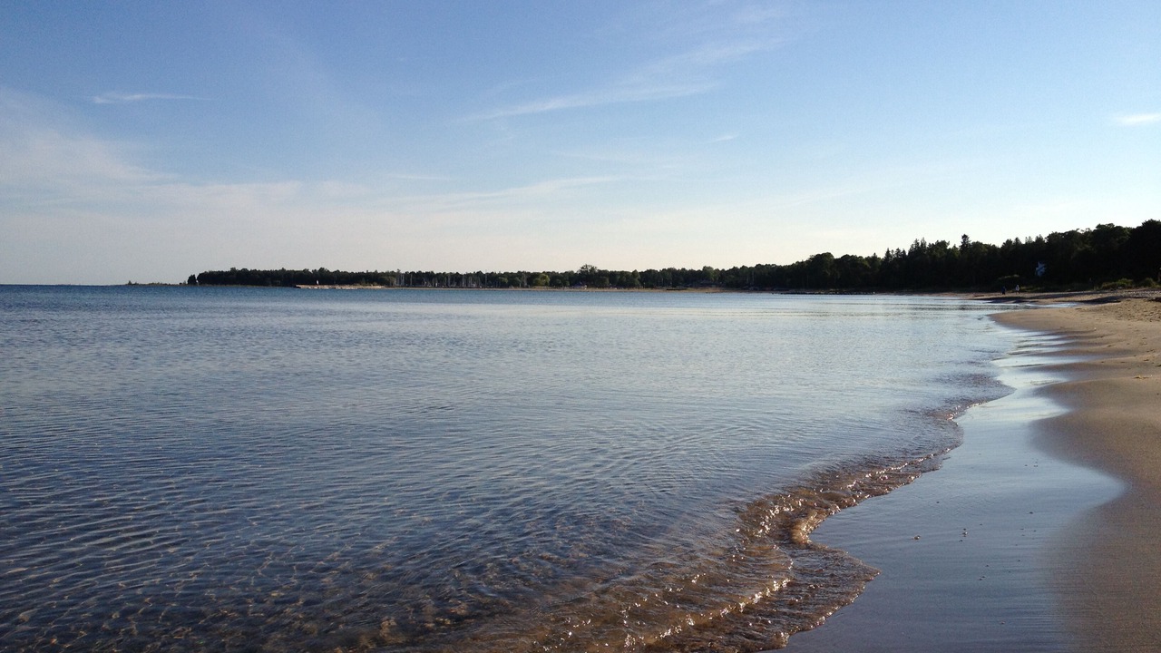 Photo of Others in Port Elgin