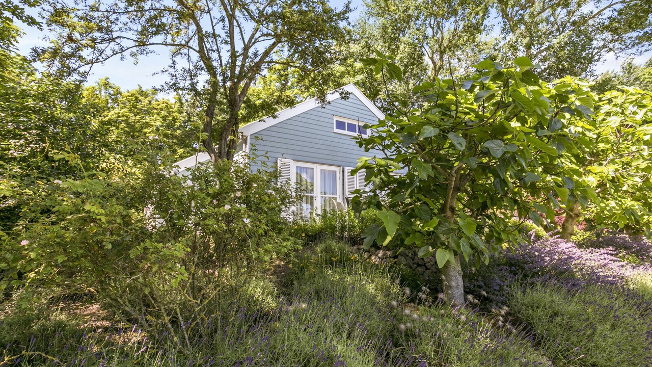 Photo of Outdoor in Ouddorp
