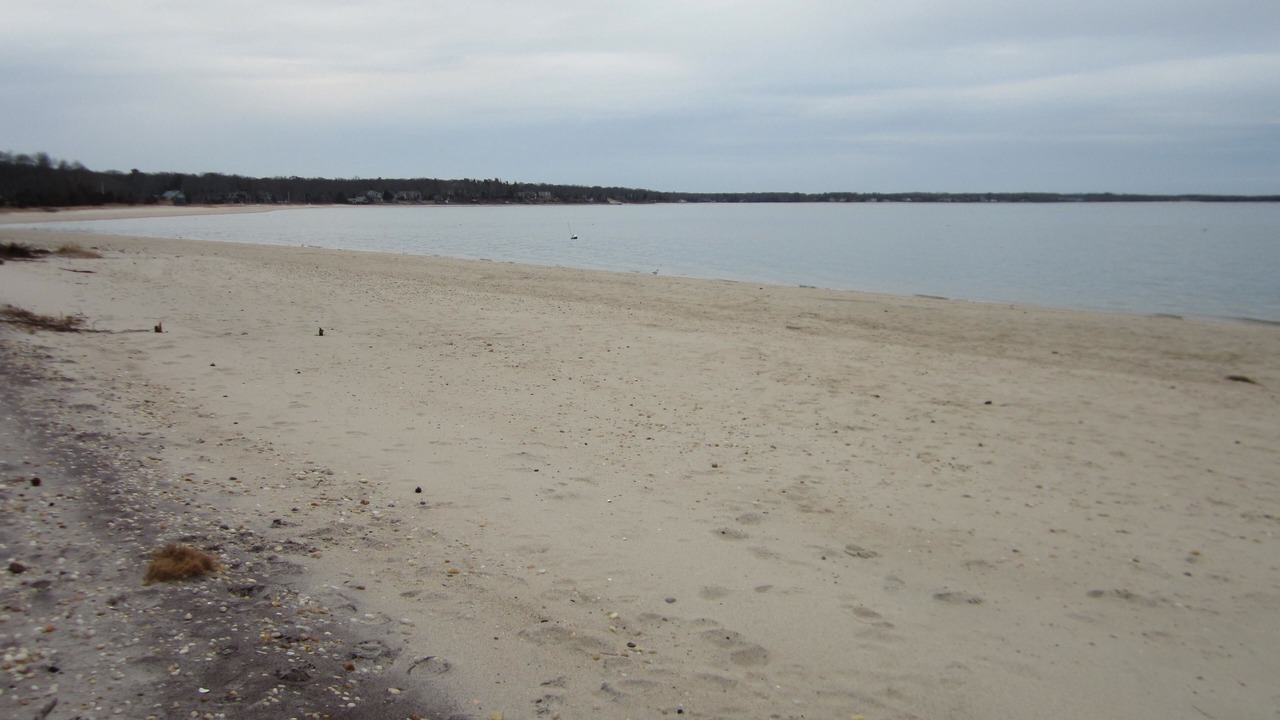 Photo of Others in Cutchogue