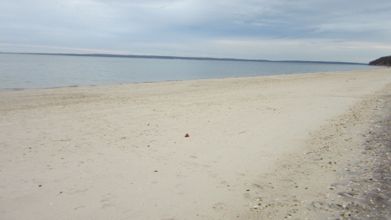 Photo of Others in Cutchogue