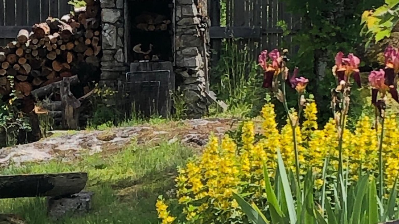 Photo of Outdoor in Nelson