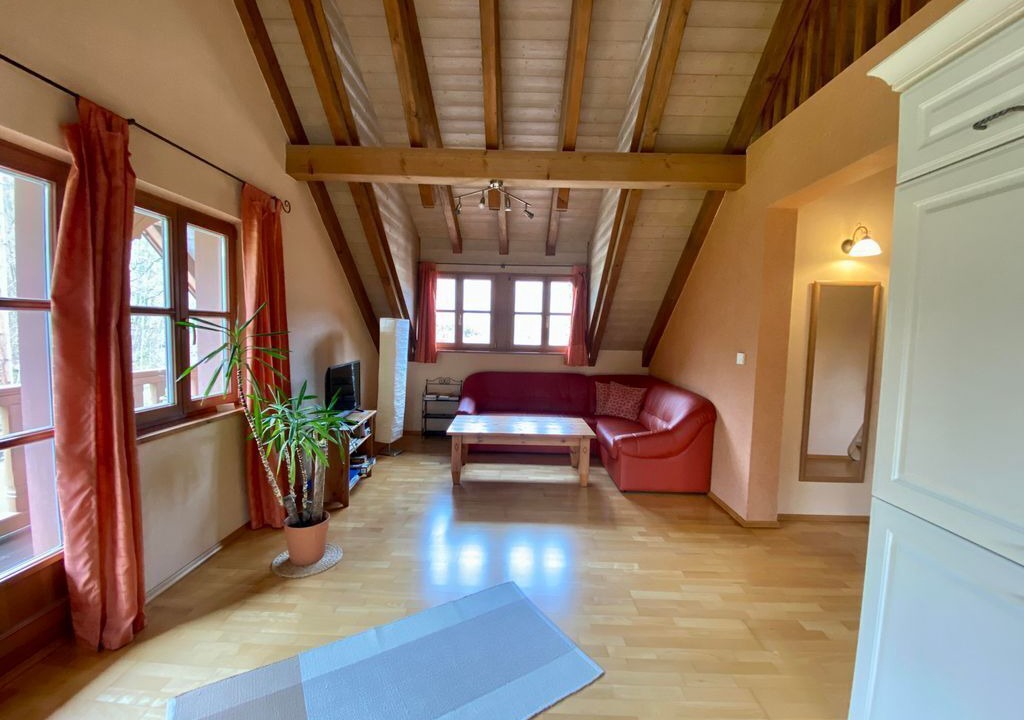 Photo of Livingroom in Wissembourg
